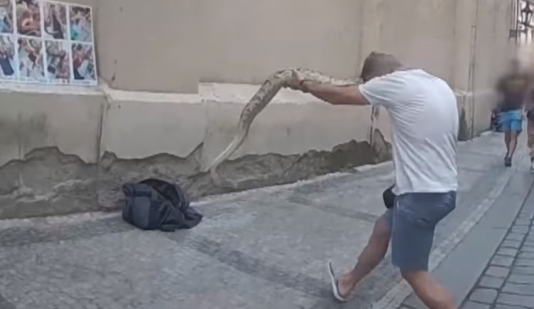 Podvodník fotil turisty s hadem. Když přijeli strážníci, utíkal ho schovat do tašky