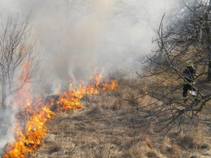 Klimatická změna zvyšuje nebezpečí vzniku požárů, varují vědci