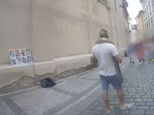 Praha v nové kampani varuje turisty před pouličním focením s hady a dalšími zvířaty