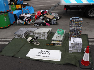 VIDEO: Služební pes Stuart vyčenichal desítky tisíc cigaret pašovaných z Bulharska