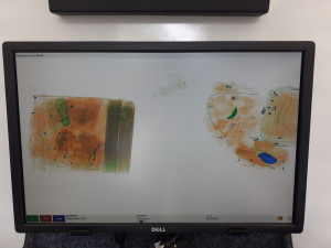 VIDEO: Služební pes Stuart vyčenichal desítky tisíc cigaret pašovaných z Bulharska