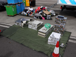 VIDEO: Služební pes Stuart vyčenichal desítky tisíc cigaret pašovaných z Bulharska