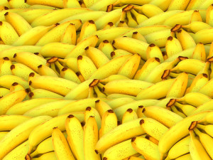 Ve skladu Albert v Klecanech našli policisté v zásilce banánů přes 600 kilogramů kokainu