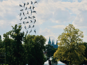 Na festivalu Letní Letná se od zítřka představí umělci z 15 zemí