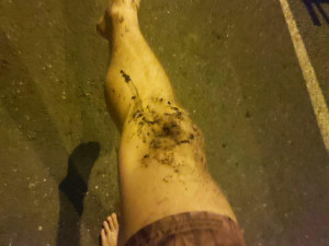 Petiční stánek u Úřadu vlády zasypali hnojem. Věc řeší policie