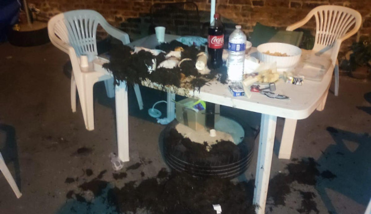 Hnůj vyklopili na stůl.