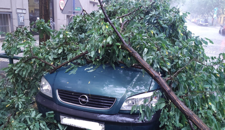 Hasiči vyjížděli k popadaným větvím a zatopeným sklepům.