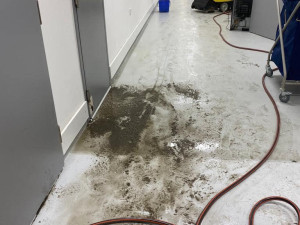 Přívalový déšť napáchal ve Státní opeře Praha škody za miliony korun