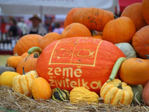 Země živitelka láká na nejsilnější traktor i největšího osla. Vyhrajte vstupenky a užijte si živitelku zadarmo