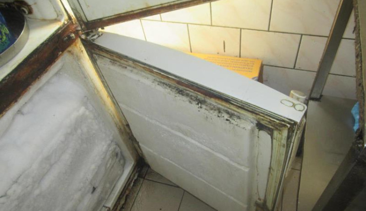 V mrazáku se dařilo plísni.