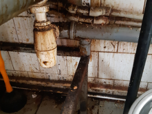 Olej na záchodě, krev v mrazáku, nedopalek ve dřezu. Pražští hygienici rozdali pokuty za sto čtyřicet tisíc