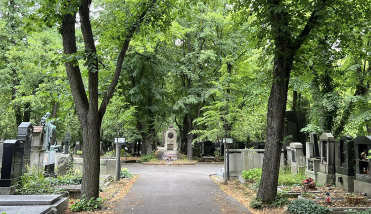 Olšanské hřbitovy budou hostit hudební festival, výtěžek půjde na opravu hrobů
