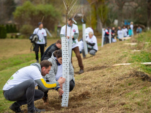 Sázení nových stromů je pro PENNY sázka na budoucnost