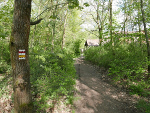 V pražských Klánovicích se v neděli otevře první bosá trasa