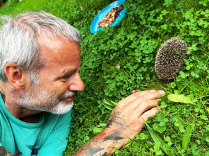 Máme na zahradě rodinku rozkošných ježků. Do záchranné stanice mláďata rozhodně neodneseme