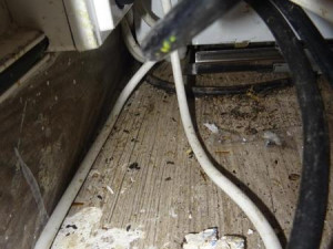 V Sapě zavřeli další restauraci, našli tam hmyz a myší bobky