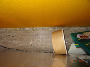 V Sapě zavřeli další restauraci, našli tam hmyz a myší bobky