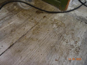 V Sapě zavřeli další restauraci, našli tam hmyz a myší bobky