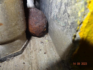 V Sapě zavřeli další restauraci, našli tam hmyz a myší bobky