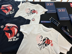 Všesokolský slet se po šesti letech vrátí do Edenu, nabídne hromadné skladby i kondomy