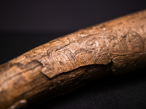 VIDEO: V Národním muzeu pod dohledem policie vystavili Věstonickou venuši. Vrátila se po devíti letech