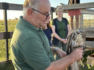 Na svobodu se vrátilo i káně lesní.
