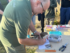 VIDEO: Pražská záchranná stanice vypustila uzdravené poštolky zpět do přírody