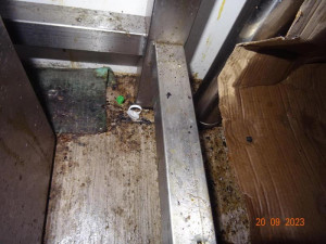 Plíseň, myší bobky. Potravinářská inspekce zavřela v Sapě už čvrtý podnik za měsíc