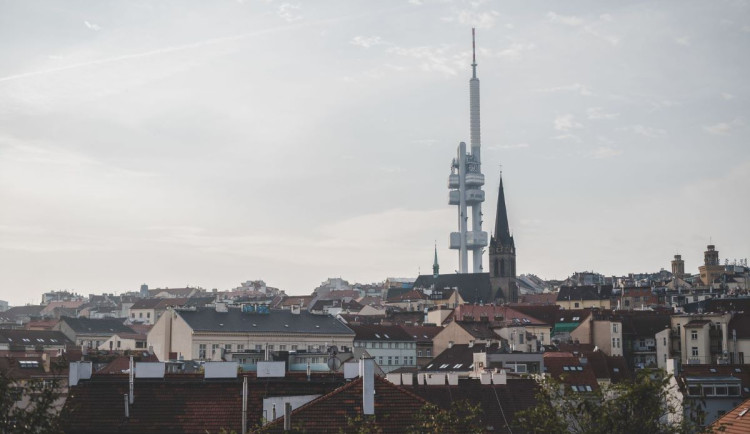 Praha 3 sází nové stromy. Uvažuje i o dolním Žižkově