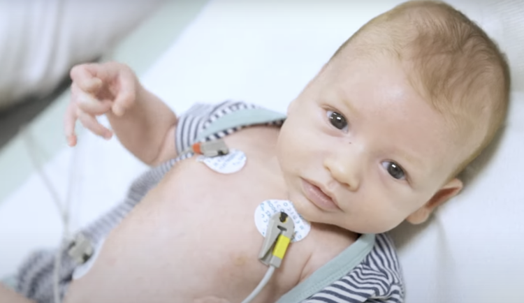 Chlapečkovi se daří a přibírá.