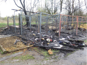 Policie navrhla obžalovat muže za založení požáru, při kterém uhořelo šest koní