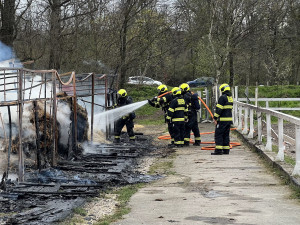 Policie navrhla obžalovat muže za založení požáru, při kterém uhořelo šest koní
