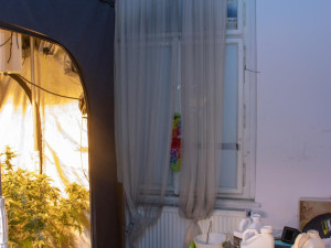 VIDEO: Gang cizinců si pronajímal byty na dobrých adresách, pěstoval v nich konopí