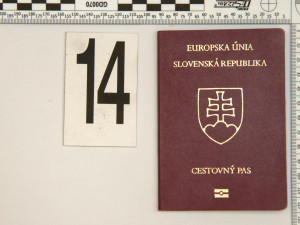 VIDEO: Gang cizinců si pronajímal byty na dobrých adresách, pěstoval v nich konopí