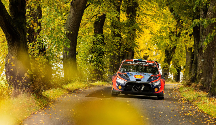 Středoevropskou rally vede Thierry Neuville.