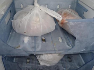 V pražské restauraci pobíhaly myši, potravinářská inspekce ji zavřela