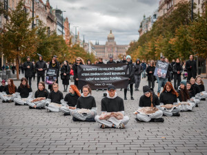 V centru Prahy demonstrovali aktivisté. Drželi pietu za zvířata zabíjená na maso