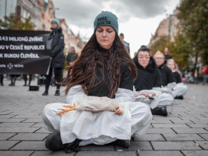 143 milionů mrtvých zvířat. Spolek Nejíme maso se dnes postavil za zvířecí práva