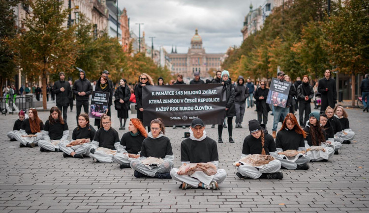 143 milionů mrtvých zvířat. Spolek Nejíme maso se dnes postavil za zvířecí práva
