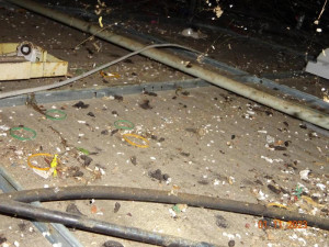 Děravý strop, myší bobky, plíseň. Obchod v Sapě kontrolou potravinářské inspekce neprošel