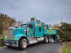 FOTOGALERIE: Vánoční strom pro Staroměstské náměstí pokácel mistr republiky. Zdobit ho začnou v úterý