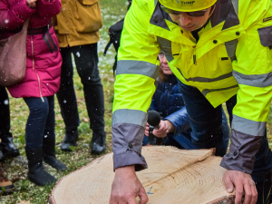 FOTOGALERIE: Vánoční strom pro Staroměstské náměstí pokácel mistr republiky. Zdobit ho začnou v úterý