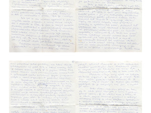 Havlova bunda z roku 1989 se vydražila za 2,76 milionu korun