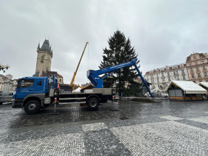 Vánoční strom dorazil do Prahy. Od noci stojí na Staroměstském náměstí