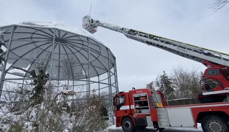 VIDEO: Hasiči odstraňují sníh z voliéry zoologické zahrady