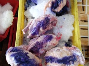 VIDEO: Nebezpečná pyrotechnika, padělky, neoznačené maso. Kontrola v Sapě odhalila přestupky za miliony