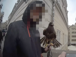 VIDEO: Muž vybíral peníze za fotky s kánětem v centru Prahy. Ptáka mu na místě odebrali