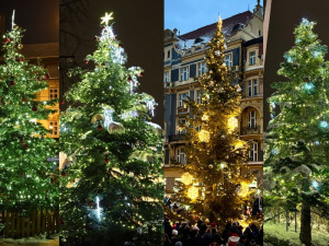 ANKETA: Která městská část má letos ten nejkrásnější vánoční strom?