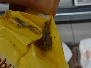 Billu v centru Prahy zamořil hmyz. Červi se prožrali moukou, cukrem i luštěninami