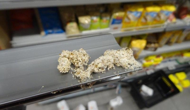 Billu v centru Prahy zamořil hmyz. Červi se prožrali moukou, cukrem i luštěninami